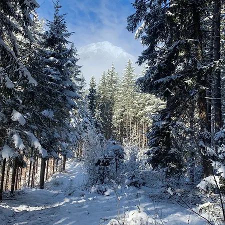 Waldblick - Neubau - Self-Check-In - Kein Verkehr - Am Wald - Parkplaetze Vor Tuer - Apartment Or Double Room Innsbruck Exteriér fotografie