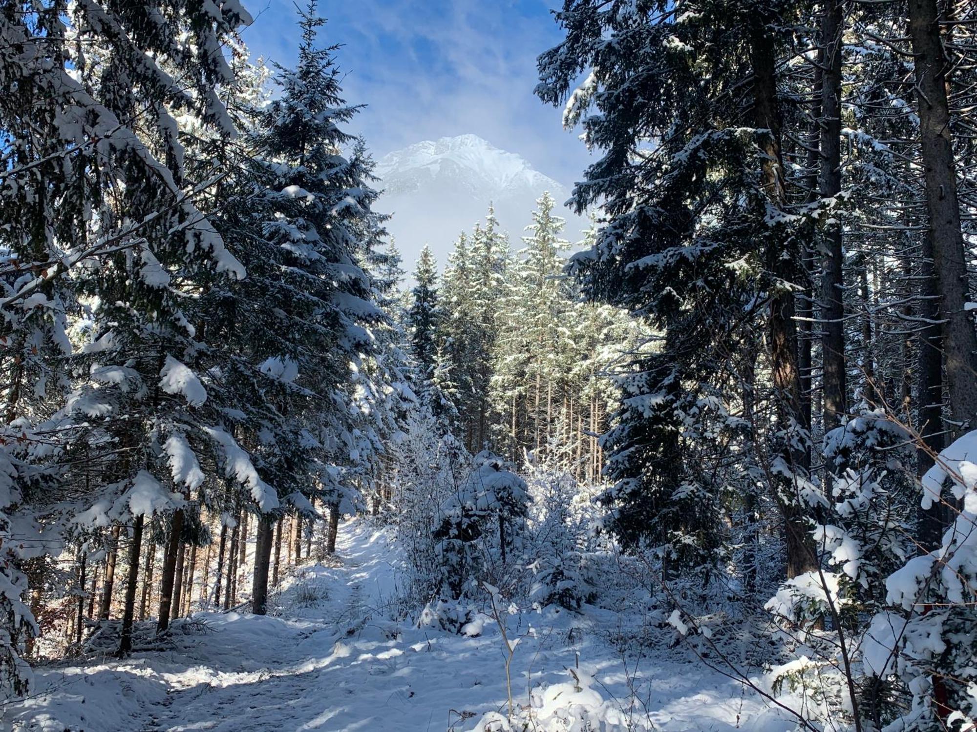 Waldblick - Neubau - Self-check-in - Kein Verkehr - Am Wald - Parkplaetze Vor Tuer - Or Double *