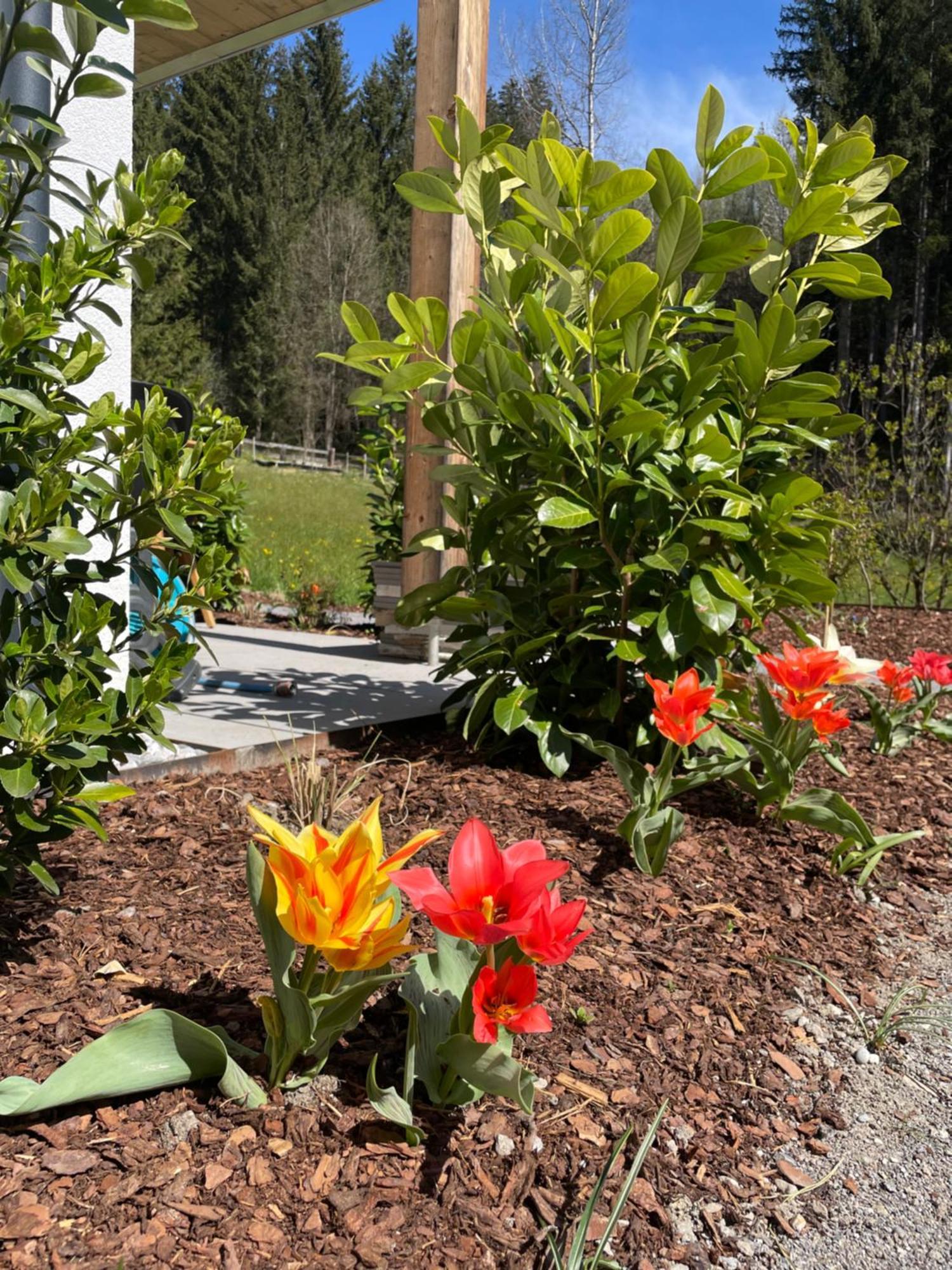 Waldblick - Neubau - Self-check-in - Kein Verkehr - Am Wald - Parkplaetze Vor Tuer - Or Double Apartmán Innsbruck